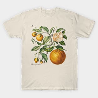 Vintage Orange Botanical T-Shirt